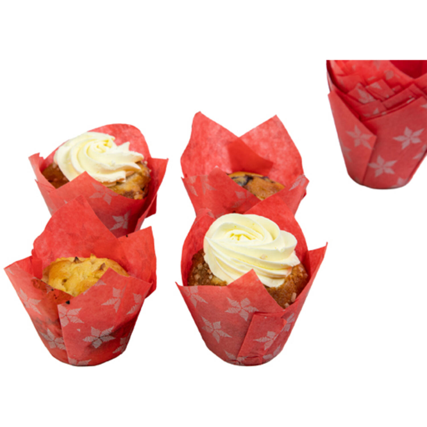 Muffin tulp rode Ster 36 st
